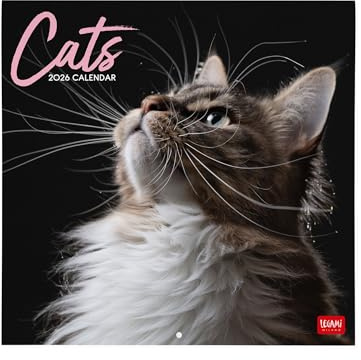 Legami Väggkalender 2026, katt, stor väggkalender, 12 månader och årsplanerare, 6 språk, anteckningsrum, stjärntecken, internationella helgdagar, 30 x 29 cm