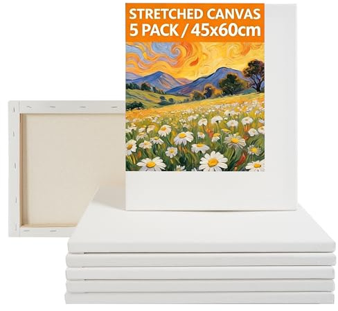 CONDA 45x60cm Leinwand zum Bemalen, 5 Stück Gestreckte Leinwand, Große Leinwand Aus 100% Baumwolle, Leinwand auf Keilrahmen für Acrylfarben, Ölmalerei