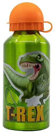 Stor Trinkflasche aus Aluminium für Kinder – Trinkflasche für Kinder, wiederverwendbar, 400 ml, Dinosaurier, Bunt