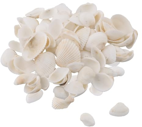 Conchas Naturales, Marinas Conchas Mixtas, Concha De Vieira Pequeña Vieiras, 2 cm-4cm Conchas de Playa de Diversos Tamaños de mar para Rellenos de Jarrones Fiesta Temática Decoración de Bodas Acuario