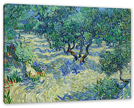 Pixxprint Vincent Van Gogh - Oliven-Feld, Größe: 100x70cm, Leinwandbild, fertig gespannt, Wandbild, Dekoration, Kunstdruck, kein Poster