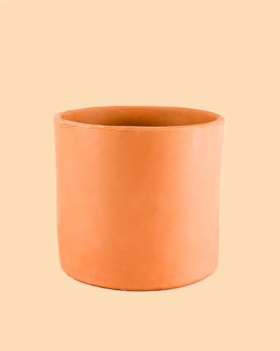 Pur Plant Maceta Terracota L 17 cm | 100% Terracota Hecha a Mano | Ideal para Todo Tipo de Plantas
