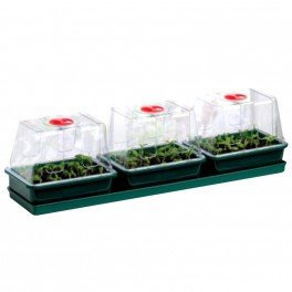 Trio-Reflective Mini Gewächshäuser – 76 x 18,5 x 20,5 cm – Garland germination-bouturage