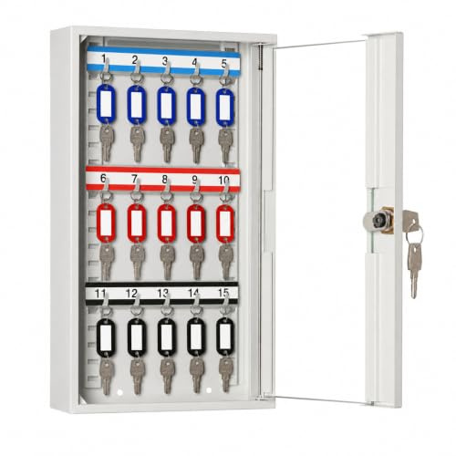 LEOMAR Schlüsselschrank, Schlüsselkasten mit 15 Haken, Schlüsselbox aus Stahlblech mit Glastüren, mit Verstellbaren Hakenleisten, Organizer zur Wandbefestigung, Abschließbar, 6 x 20 x 32 cm