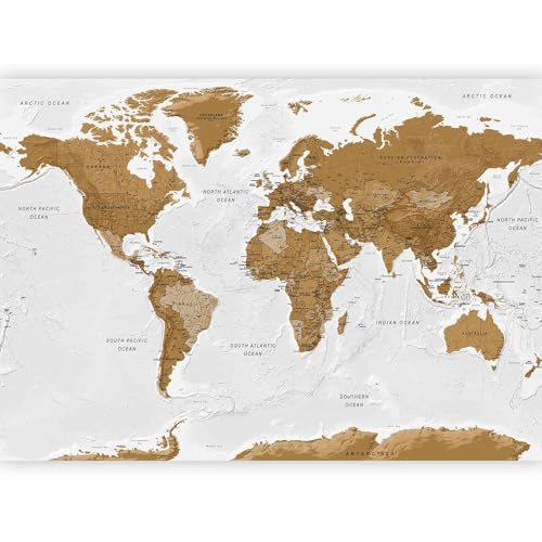 murando - Carta da parati per Soggiorno 300x210 cm TNT Carte da Parati Moderne per Camera da Letto e Cameretta - Decorazione da Muro Mappa del Mondo Continente k-A-0093-a-a