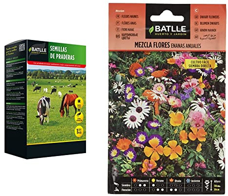 Semillas de Praderas - 1kg + Mezcla Flores ENANAS anuales, Multicolor