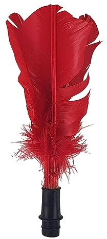 Bremshey von Tunturi - Indiaca Turnier Ersatzfeder - Indiaca Ball - Federball Ersatz