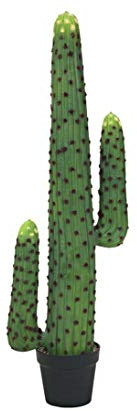 Cactus mexicanos verde con maceta y 115 cm y 2 brazos