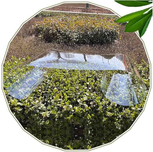 Xrdbfd Transparente Dachplatten, 1mm Polycarbonat-dachplatten, Klare Acrylglasplatten, Polycarbonatplatten Für Gewächshaus Garten Schuppen Markise, Kunststoff Ersatzplatten,WxL-1x4m/3.3 * 13ft