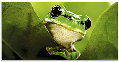 ARTland Wanddeko Glasbilder Wandbild Glas Bild einteilig 60x30 cm Querformat Natur Tiere Frosch Gesicht Laubfrosch Porträt Grün T5VH