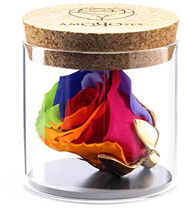 Amoroses Bijou - Ewige stabilisierte Rose mit 24 Karat vergoldetem Kelch im Glasgefäß | Geschenkidee (Rose Mehrfarbig Regenbogen)