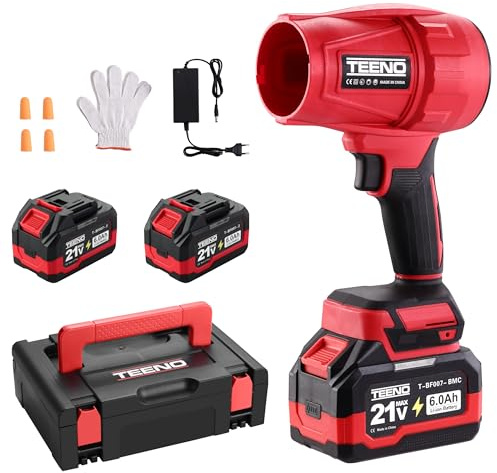 Souffleur sans Fil TEENO, 2x6,0 Ah Batteries, 21 V, 31000 TR/Min, Souffleur à Feuilles sans Fil, Ultra-Léger, avec Boîte à Outils, Idéal pour Terrasse, Allées et Jardin