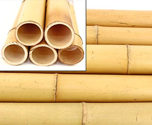 bambus-discount.com 'Canne di bambù moso Sbiancato. 8-9 cm, Lunghezza 200 cm