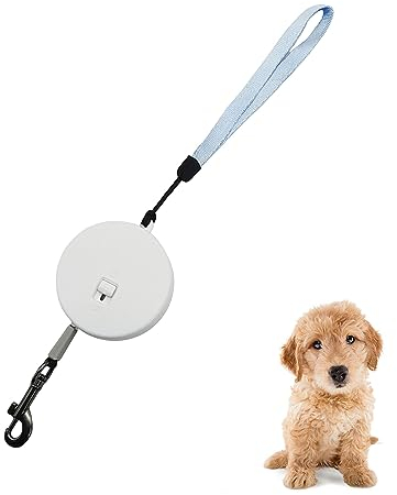 Dttra Mini Einziehbare Hundeleine mit Reflektierendem Seil 3 Meter Ausziehbare Rollleine Automatisch Versenkbare Hundeleine für Kaninchen, Eichhörnchen, Hamster, Welpen (Weiß)