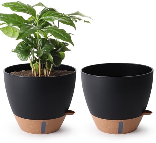 T4U självvattnande blomkrukor, 30 cm, svart, 2-pack | synlig vattennivå, brunt fat, dräneringshål, monstera och gröna växter, för fönsterbräda och vardagsrum