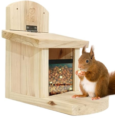 Mangeoire pour Écureuils Cabane De Nourrissage En Bois | Distributeur De Nourriture Pour Écureuils Avec Plateau Allongé Pour Animaux De Compagnie,