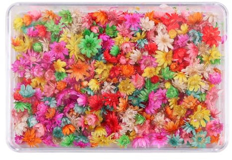 Tiardey 200 Pièces Mini Fleurs Séchées Naturelles Têtes de Fleurs de Petite ?Toile Séchées Colorées pour la Fabrication de Cartes de Bougies de Bijoux Ornements en Résine DIY