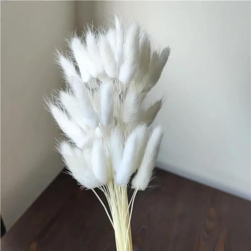 Boho Dekor,100 Stück 45 cm getrocknete natürliche Kaninchensträuße Hasenschwanzgras trockene Lagurusblume Pampasgras für Party Boho Hochzeit Heimdekoration Stil 1