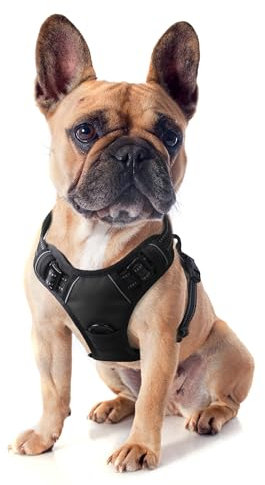 Funfox Hundegeschirr Kleine Hunde Anti Zug Welpengeschirr Einstellbar Hundegeschirr Antiziehgeschirr für Mittelgroße Hunde Brustgeschirr Hund Atmungsaktiv No Pull Dog Harness Schwarz S