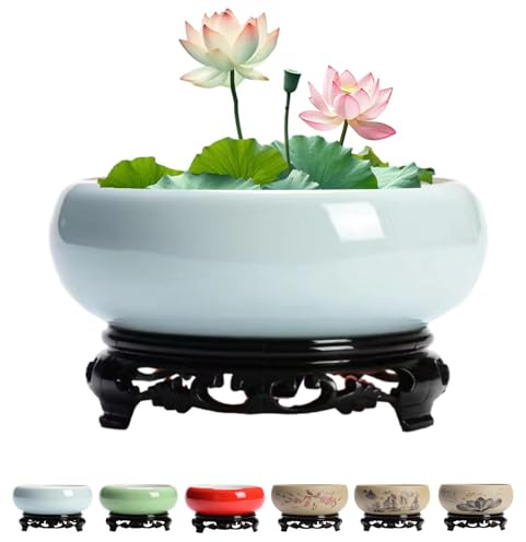 Shuoyy Planteur De Bol De Lotus pour Graines Fleurs,Lotus en CéRamique Pottes Plantes,Hydroponiques à L'IntéRieur avec Base en Plastique,jardinière de Bol de Lotus en céramique Chinois avec Support