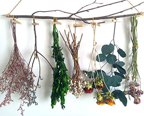 DongArts Guirnalda de flores secas, flores secas para colgar en la pared, decoración de pared bohemia de granja para hierbas secas, hojas verdes