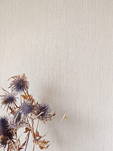 NEWROOM Tapete Beige Vliestapete Einfarbig - Unitapete Uni Streifen Struktur Modern Streifentapete inkl. Tapezier-Ratgeber