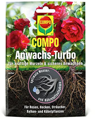 COMPO Agrosil Wurzel-Turbo, 50 g, Wurzelaktivator für kräftige Wurzeln | Fördert schnelle Wurzelbildung bei Neupflanzungen und Stecklingen, stärkt junge Pflanzen nachhaltig im Boden