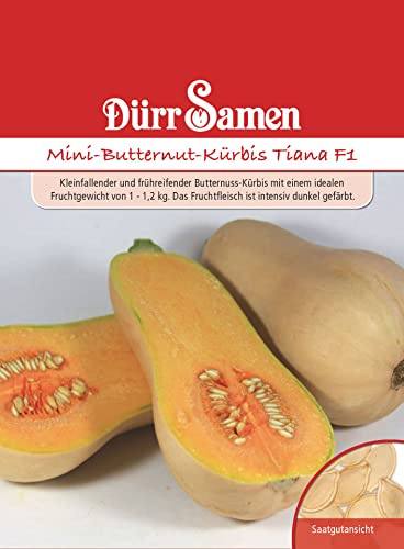 Dürr-Samen - Mini-Butternut-Kürbis Tiana F1 Saatgut