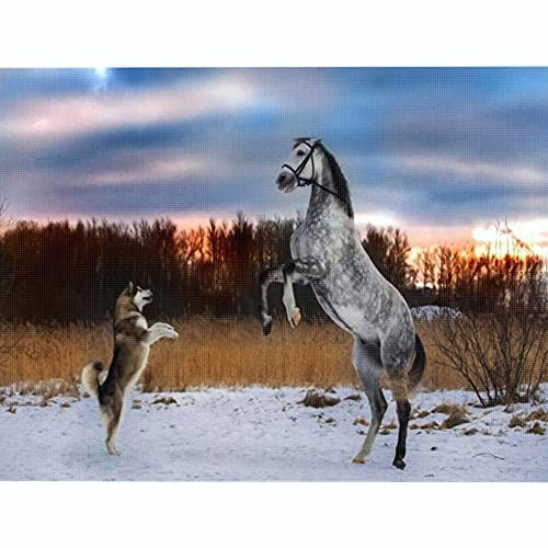kreuzstich stickpackungen vorgedruckt bilder kinder erwachsene anfanger Pferd und Wolf kreuzstich set diy 11ct Baumwolle Stoff Vorsortierte Garne SchlafzimmerInnendekoration (40×50cm)