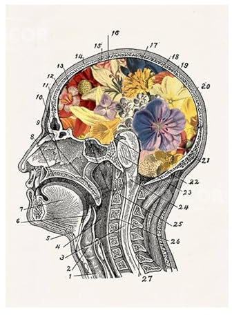Supkancl 1 Pezzo di Anatomia Umana Set Poster con Foto su Tela incorniciata organi botanici Cuore Stampa Dipinti Arte della Parete Decorazione(F-No Frame,15x20cm-6x8in)