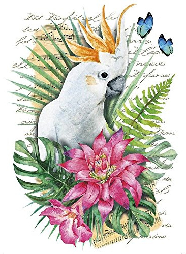 Ideen mit Herz Color Bügeltransfer, DIN A4, filigran ohne Hintergund, tropische Tiere | Textilien mit Bügelmotiven verzieren | Transfer-Bilder aufbügeln | DIY Textildesign (Kakadu)