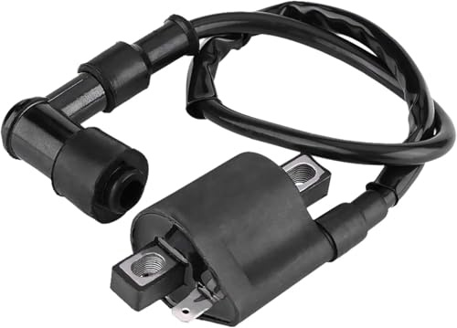 ATV Ersatz Zündspule, Zündspule Roller Metall Zündspules Moped, Zündspules ATV Motorrad Zündspulees, Hochspannungszündkerzen für 50CC 150CC 200CC 250CC ATVs Scooter Moped Kart (Schwarz)