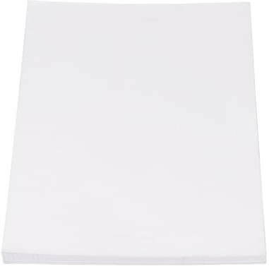A4 Thermodruckerpapier, 100 Blatt, Stabil und Effizient, Klare Wirkung, Breite Anwendung, Kompatibel mit M08F, PeriPage A4, MT810