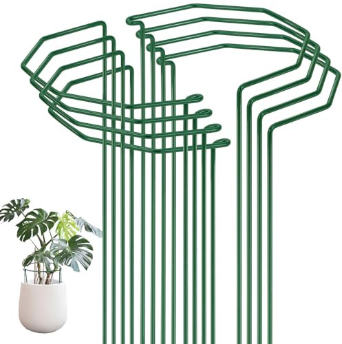 Velway 8 Pack Large Plant Support Stakes - 60x30cm Φ6mm Strong Metal Garden Plant Supports Ring Cage for Peonies Monstera Hydrangeas Rose Vegetables