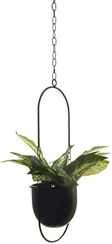 Genérico Decoración Colgante Olla de Metal Cesta Colgante Techo plantador Colgante para Plantas de Interior Plantas de Aire suculentes cactusBlack,S
