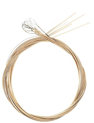 TOYANDONA 8stücke Teiliges Mandolinensaiten-ersatzset Mandolinen-saiten-set Mandolinensaiten-ersatzteil