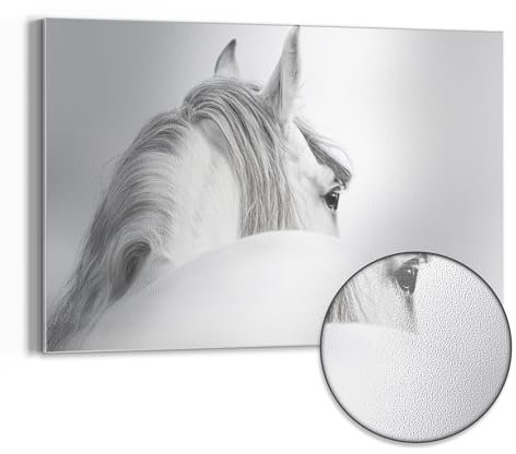 DEQORI Metall Magnettafel | 60x40 cm cm groß | Motiv Andalusisches Pferd | Whiteboard für alle Magnete | Magnetboard Wand-Tafel für Küche & Büro | Design Magnetwand Pinnwand magnetisch