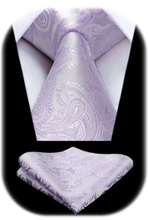 HISDERN Krawatte Lila Herren Hochzeit Paisley Krawatten und Einstecktuch Set Elegant Blumen Schlips Flieder mit Taschentuch Business Party Violett