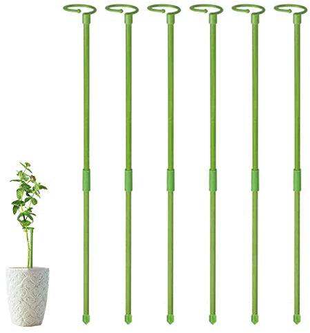 6 Tuteurs 80cm Bâtons Support, Piquets Support Tuteur Tomate Jardin pour Fleur, Rose, tomates, lys, Pivoine