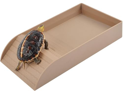 Fox·Bunny Tortoise Bath