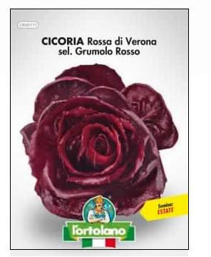 L'ORTOLANO Sementi Orticole Di Qualità In Busta Termosaldata (160 Varietà) (Cicoria Rossa Di Verona Sel. Grumolo Rosso)