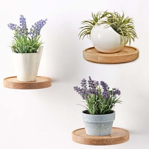 GAOUTO 3er Wandregal rund, Ø15cm Schweberegal Rund Holz, Wandregal Klein, Pflanzenregal Holzregal, Schweberegal Holz, Hängeregal, wandboard, Deko Regal, Wandbefestigung für einen Blumentopf