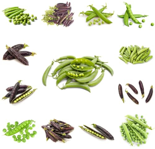 erbsen - gemüsepflanzen, hochbeet erbsensamen alte sorten exotische zimmerpflanzen kletterpflanzen winterhart 160pcs