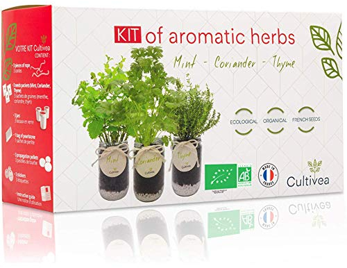 CULTIVEA® Bio Kräuter Anzuchtset – DIY Pflanzset mit Minze, Koriander & Thymian – Indoor Garten für Küche & Balkon – 100% Öko Kräutersamen – Geschenkidee – Mini Kräutergarten Set