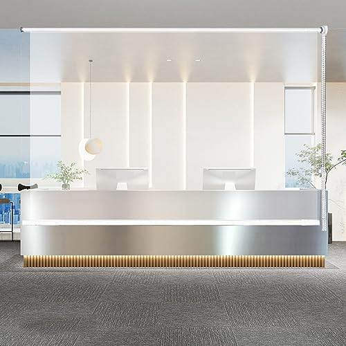 Zlovne Transparente Vinyl-Rollläden,PVC-Vorhang,Wasserdichter Vorhang,Seitenzugrollo,Außenrollo für Küche/Bad/Büro,Outdoor-Balkon-Terrassen-Tür Durchsichtige Rollos,mit Zubehör (W100xH250cm/W39 xH99)