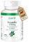 Boswellia 400mg - mit 800mg Weihrauch-Extrakt pro Tagesdosis - 120 Tabletten - Hochdosiert - 100% Vegan – Deutsche Produktion & Laborprüfung - NutriFair | Premium & Fair