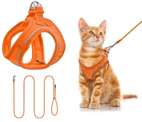 Hundegeschirr mit Leine 255cm XS Set, Reflektierend (Orange) | Brustgeschirr Für Kleine Hunde & Katzen, Atmungsaktives Mesh, Anti-Ausbruch, Weich, Spaziergang