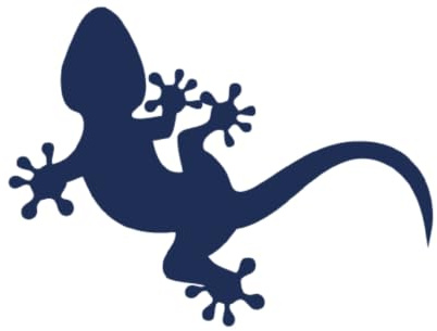 Tattwo.me – Temporäre Tattoos für Erwachsene und Kinder, hält 2 Wochen, wasserfest – Gecko – Pflanzliche Tinte – EU-Kosmetik-Zertifikat – (P0716)