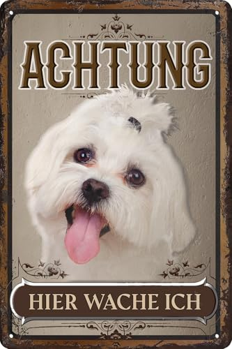 30 x 20 cm wetterfestes Blechschild, Warnhinweis, Torschild, Achtung, hier Wache ich! Warnung vor dem Hund (Malteser)