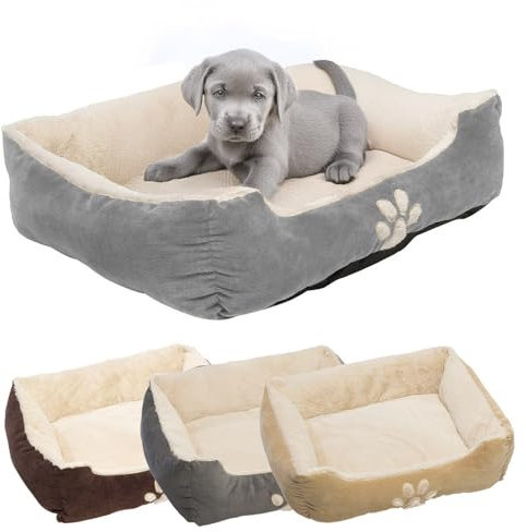Petnic - Hundebett ca. 60x48x18 cm - Grau - Plüsch flauschig mit Rand weich für kleine bis mittelgroße Hunde Katzenbett Beige Hundekissen Haustierbett eckig ca. 60x50 cm